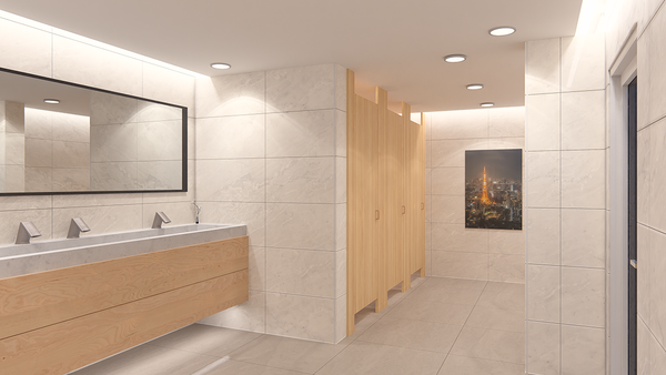 Toilet design Lumion 20231117