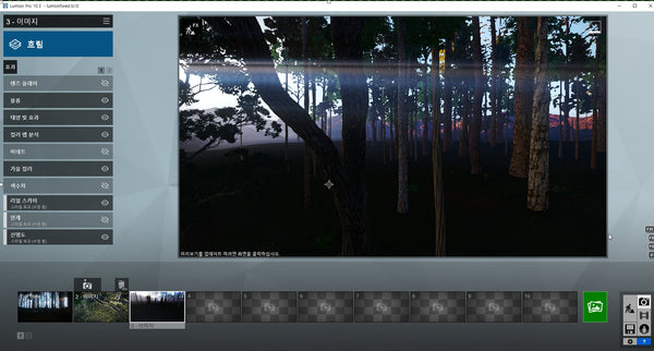 Forest Lumion 10 file