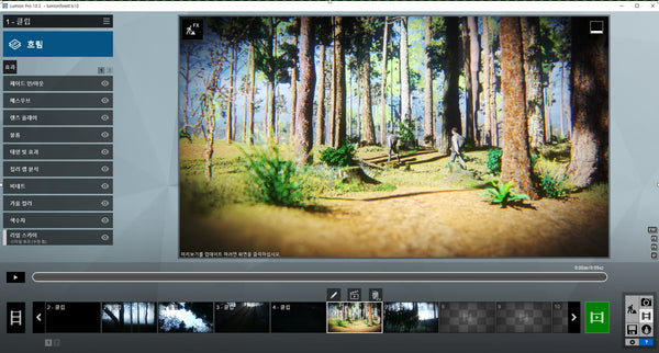 Forest Lumion 10 file