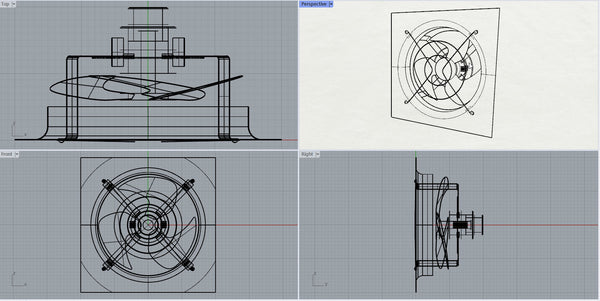 Outer Fan with Rhinoceros