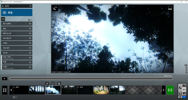 Forest Lumion 10 file