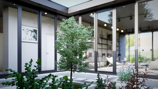 Center Garden Lumion 12 file