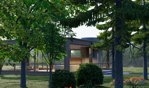 Forest film 4K 20230202